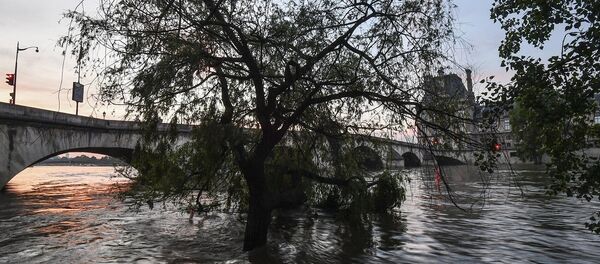 水灾 水灾 - 俄罗斯卫星通讯社