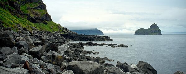 日本外务省:日将坚持不懈地继续就南千岛群岛问题与俄谈判 日本外务省:日将坚持不懈地继续就南千岛群岛问题与俄谈判 - 俄罗斯卫星通讯社