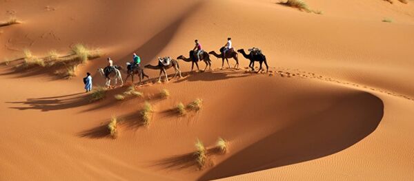 媒体：蜡助科学家解开撒哈拉干旱之谜 - 俄罗斯卫星通讯社