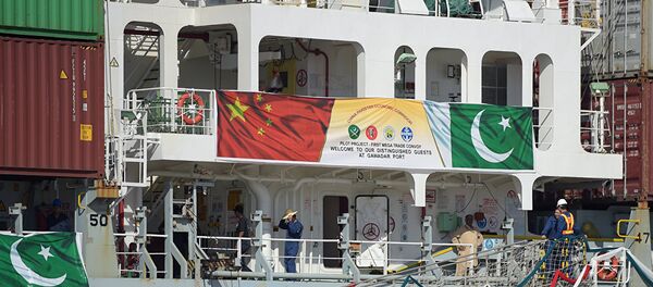 中巴经济走廊 - 俄罗斯卫星通讯社