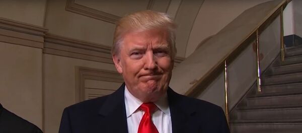 特朗普 - 俄罗斯卫星通讯社