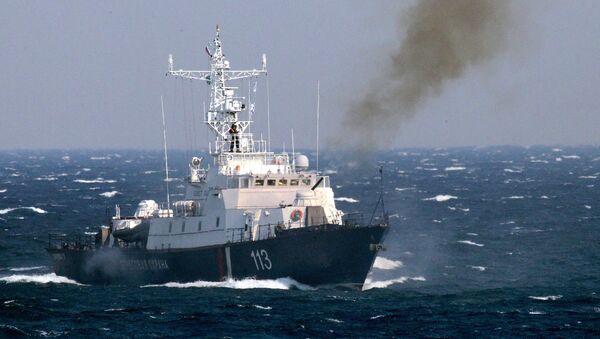 俄与境外边防军2016年联合打击海上非法捕捞 - 俄罗斯卫星通讯社