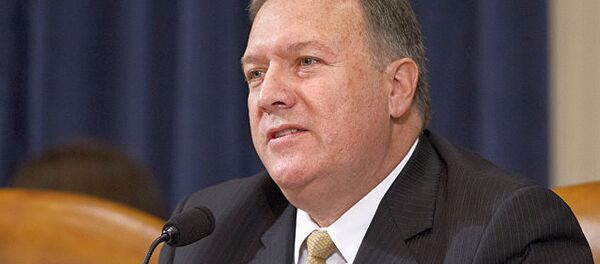 迈克∙蓬佩奥 - 俄罗斯卫星通讯社