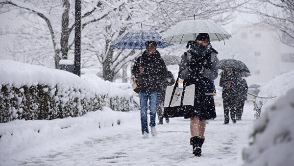 日本专家阐释暴雪原因 - 俄罗斯卫星通讯社
