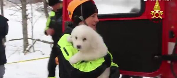 救援人员发现意大利里戈皮亚诺酒店幸存“客人” - 俄罗斯卫星通讯社