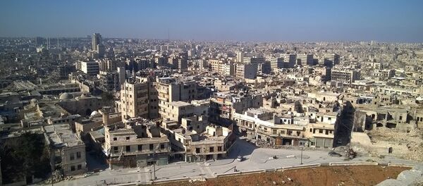 叙利亚 - 俄罗斯卫星通讯社