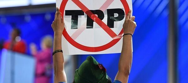 媒体：中国没有把“TPP死亡”当成庆祝的理由 - 俄罗斯卫星通讯社