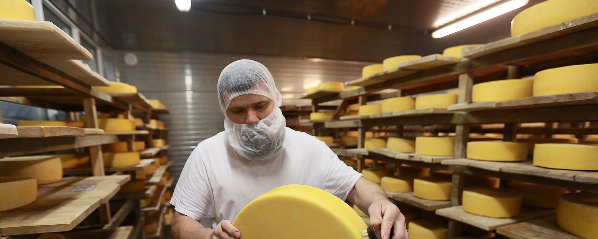 俄奶酪制造商联盟负责人：俄罗斯将在5年后开始向中国出口奶酪 - 俄罗斯卫星通讯社, 1920, 31.03.2022