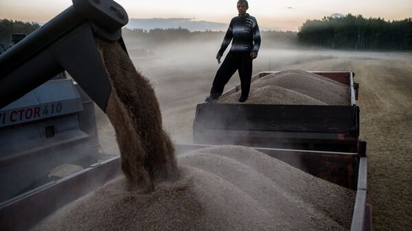 专家：向非洲运送俄罗斯小麦有助于实现非洲的社会和政治稳定