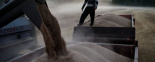 2017-2018农业年度俄罗斯计划出口3000-3500万吨谷物 - 俄罗斯卫星通讯社