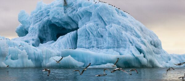 中国外交部：中方重视参与北极地区合作 - 俄罗斯卫星通讯社