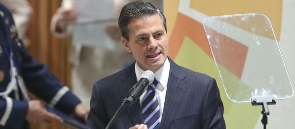 恩里克•培尼亞•涅托 - 俄羅斯衛星通訊社