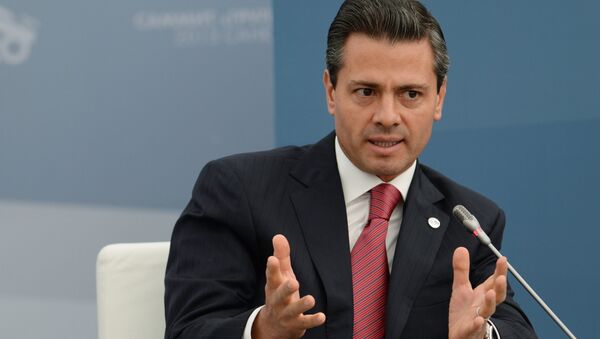 墨西哥總統：已取消前往美國訪問的行程 - 俄羅斯衛星通訊社