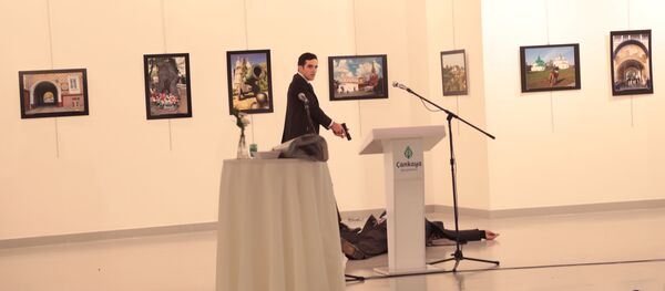 导致俄大使科尔洛夫被枪杀的土耳其画展主办者被捕 导致俄大使科尔洛夫被枪杀的土耳其画展主办者被捕 - 俄罗斯卫星通讯社