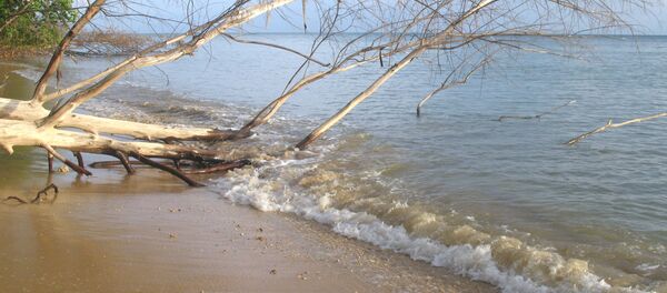 救援人員找到了在馬來西亞海岸失蹤並載有中國遊客的船上的兩人 救援人員找到了在馬來西亞海岸失蹤並載有中國遊客的船上的兩人 - 俄羅斯衛星通訊社