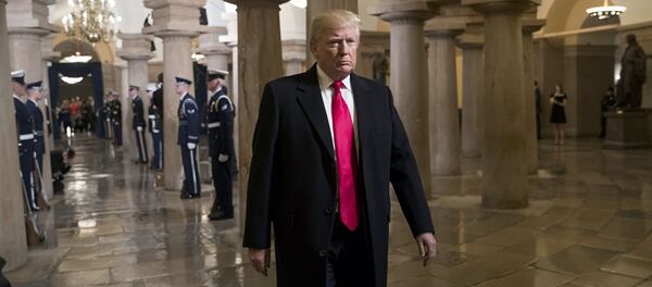 特朗普 - 俄罗斯卫星通讯社