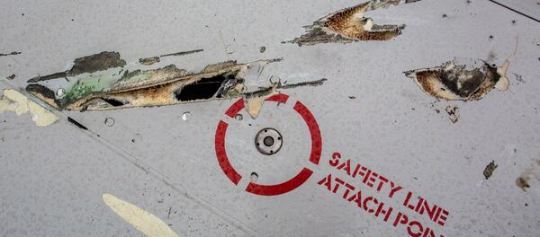 俄航空署称荷兰方面有意拖延马航MH17的空难调查 - 俄罗斯卫星通讯社