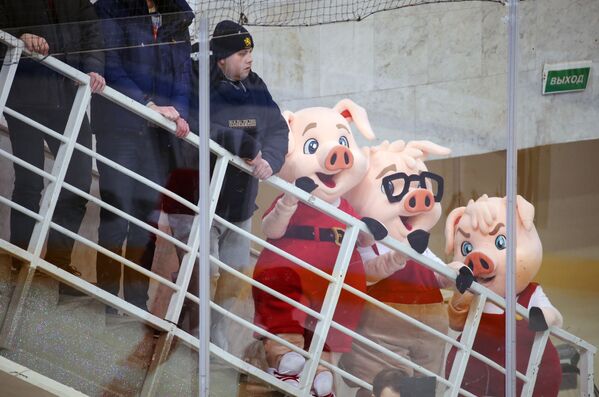 在大陆冰球联盟常规赛上的斯巴达克队吉祥物 - 俄罗斯卫星通讯社