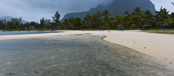 船东：在毛里求斯附近触礁搁浅的日本货船已泄漏至少1千吨石油产品 - 俄罗斯卫星通讯社