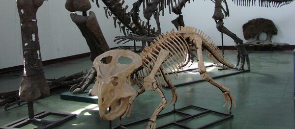 中國發現恐龍肉 - 俄羅斯衛星通訊社