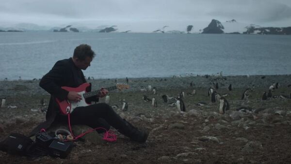 丹麦摇滚乐手在南极洲为企鹅演出一场 - 俄罗斯卫星通讯社
