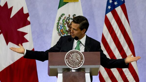 Mexico's President Enrique Pena Nieto at the conference with the leaders of NAFTA in 2014 - 俄羅斯衛星通訊社