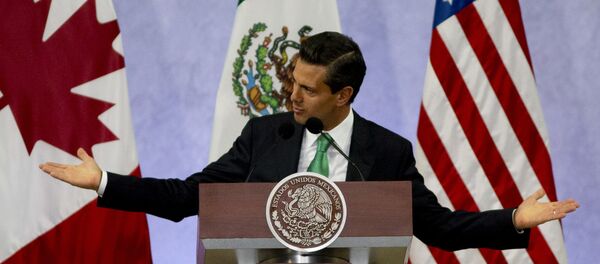 墨西哥率先批准新版美墨加自贸协定 - 俄罗斯卫星通讯社