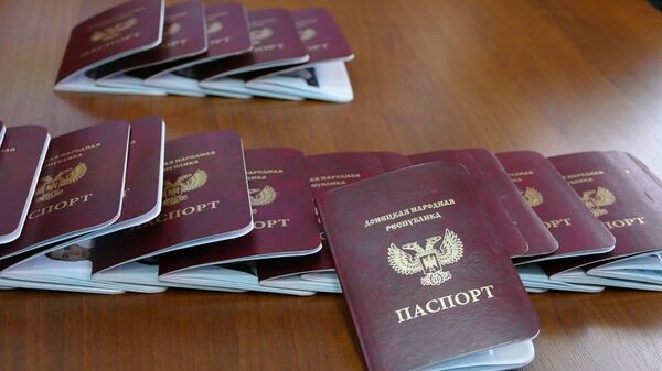頓涅茨克人民共和國的護照 - 俄羅斯衛星通訊社
