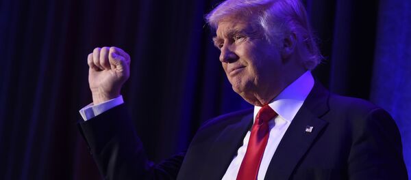 特朗普称未做2020年选举失败的准备 - 俄罗斯卫星通讯社