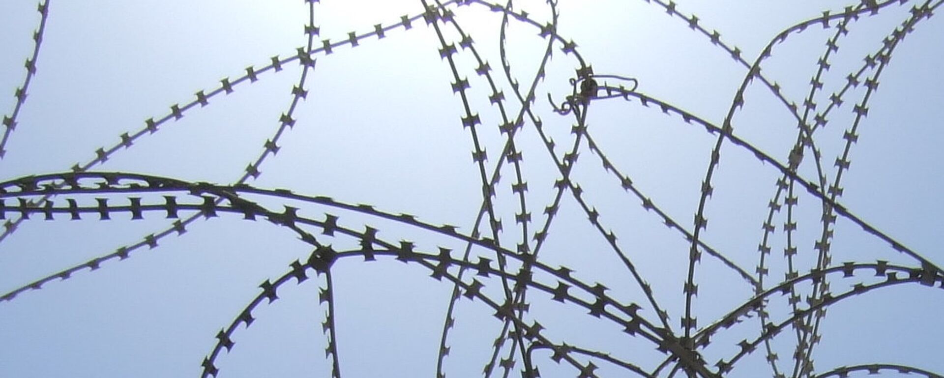 敘利亞境內最大的“伊斯蘭國”恐怖分子家屬營地被完全解散並關閉 - 俄羅斯衛星通訊社, 1920, 24.02.2026