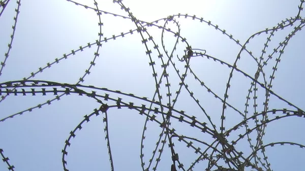 叙利亚境内最大的“伊斯兰国”恐怖分子家属营地被完全解散并关闭 - 俄罗斯卫星通讯社