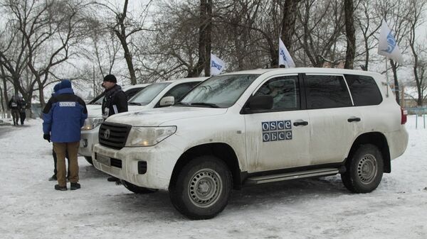 欧安组织驻乌特别监督团副主席：马里乌波尔附近发现包括火箭炮在内的禁用武器 - 俄罗斯卫星通讯社