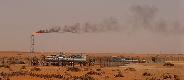 伊朗或在5-6個月內與俄羅斯公司簽署石油合同 伊朗或在5-6個月內與俄羅斯公司簽署石油合同 - 俄羅斯衛星通訊社