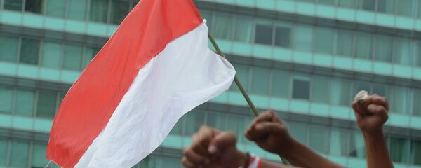 俄专家：雅加达省长选举将暴露印尼的断层线 - 俄罗斯卫星通讯社