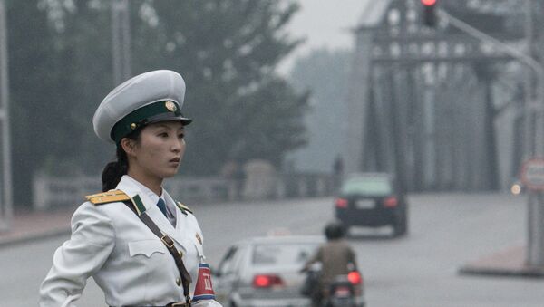 普京批准了在刑事案件中和朝鮮相互援助的協議 - 俄羅斯衛星通訊社