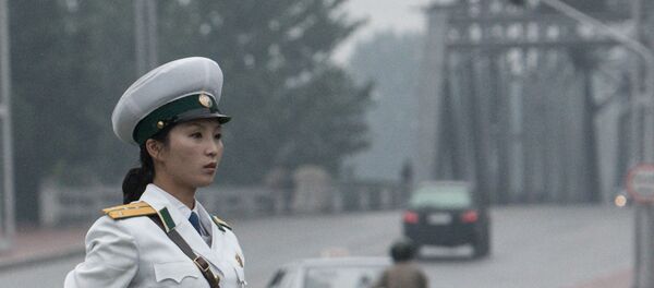 普京批准了在刑事案件中和朝鲜相互援助的协议 普京批准了在刑事案件中和朝鲜相互援助的协议 - 俄罗斯卫星通讯社