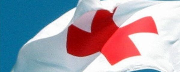 國際紅十字會 - 俄羅斯衛星通訊社