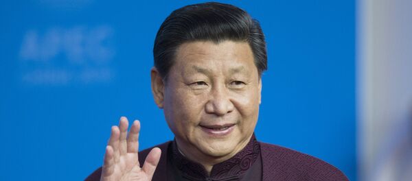 Xi Jinping at APEC Economic Leaders' Meeting in Beijing Xi Jinping at APEC Economic Leaders' Meeting in Beijing - 俄罗斯卫星通讯社