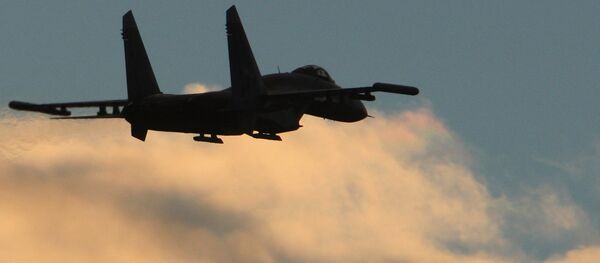 蘇-27 蘇-27 - 俄羅斯衛星通訊社