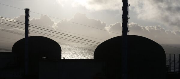 俄国家原子能公司计划从2020年起供应埃及达巴核电站核燃料熔体捕捉器 - 俄罗斯卫星通讯社