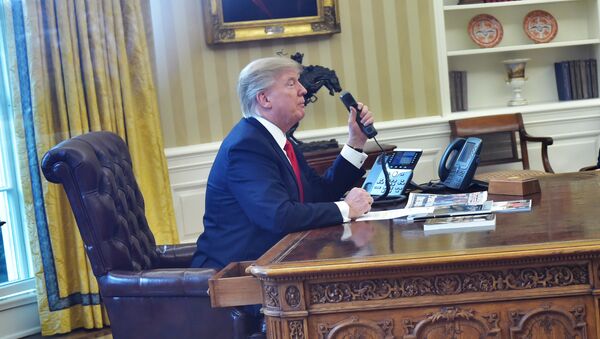 Donald Trump at the Oval Office - 俄罗斯卫星通讯社