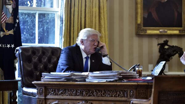 Donald Trump at the Oval Office - 俄罗斯卫星通讯社