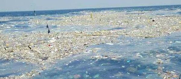 Floating garbage patch in the Gulf of Thailand - 俄罗斯卫星通讯社