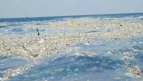 媒体：泰国海岸发现的“垃圾岛”神秘消失 - 俄罗斯卫星通讯社