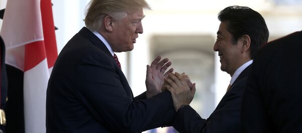 媒体：特朗普与日本首相安倍晋三在白宫门口拥抱 - 俄罗斯卫星通讯社