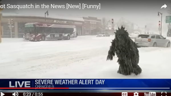 美國一則採訪報道中發現“雪人”在主持人背後散步 - 俄羅斯衛星通訊社