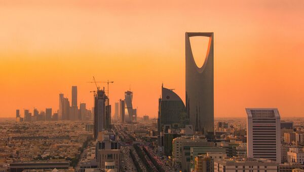 沙特阿拉伯宣佈要建世界上最具創新性的城市 - 俄羅斯衛星通訊社