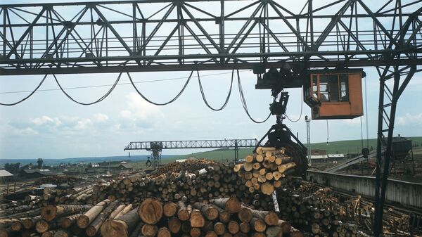 中国企业计划在俄远东建造木材工业园 - 俄罗斯卫星通讯社