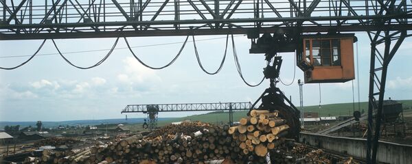 Погрузка леса - 俄羅斯衛星通訊社