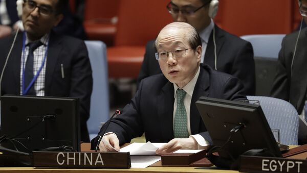 中国常驻联合国代表刘结一 - 俄罗斯卫星通讯社